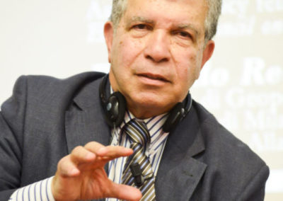 Bahgat Korany, Professore di Relazioni internazionali all’Università Americana del Cairo