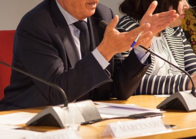 Pietro Marcenaro, Presidente CSA Piemonte