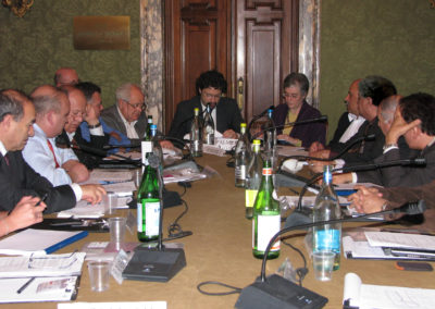 Middle East: for a Global Approach to Peace. 2010, Milano